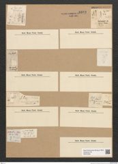 Diatomeae indet. Zeichnungen Sammlung Grunow Nr. 6619 (NHMW-BOT-W0375384)